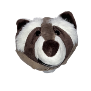 Racoon (tête)